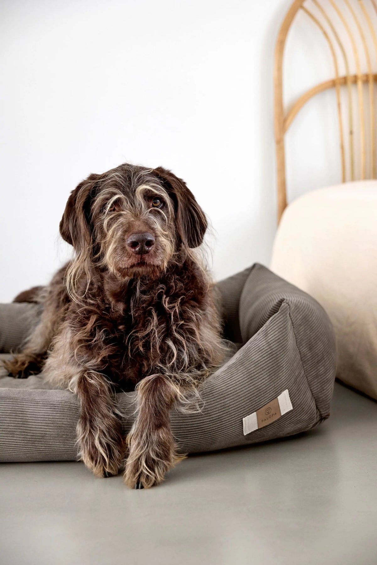 Hundebett Cord - Fred, Braun