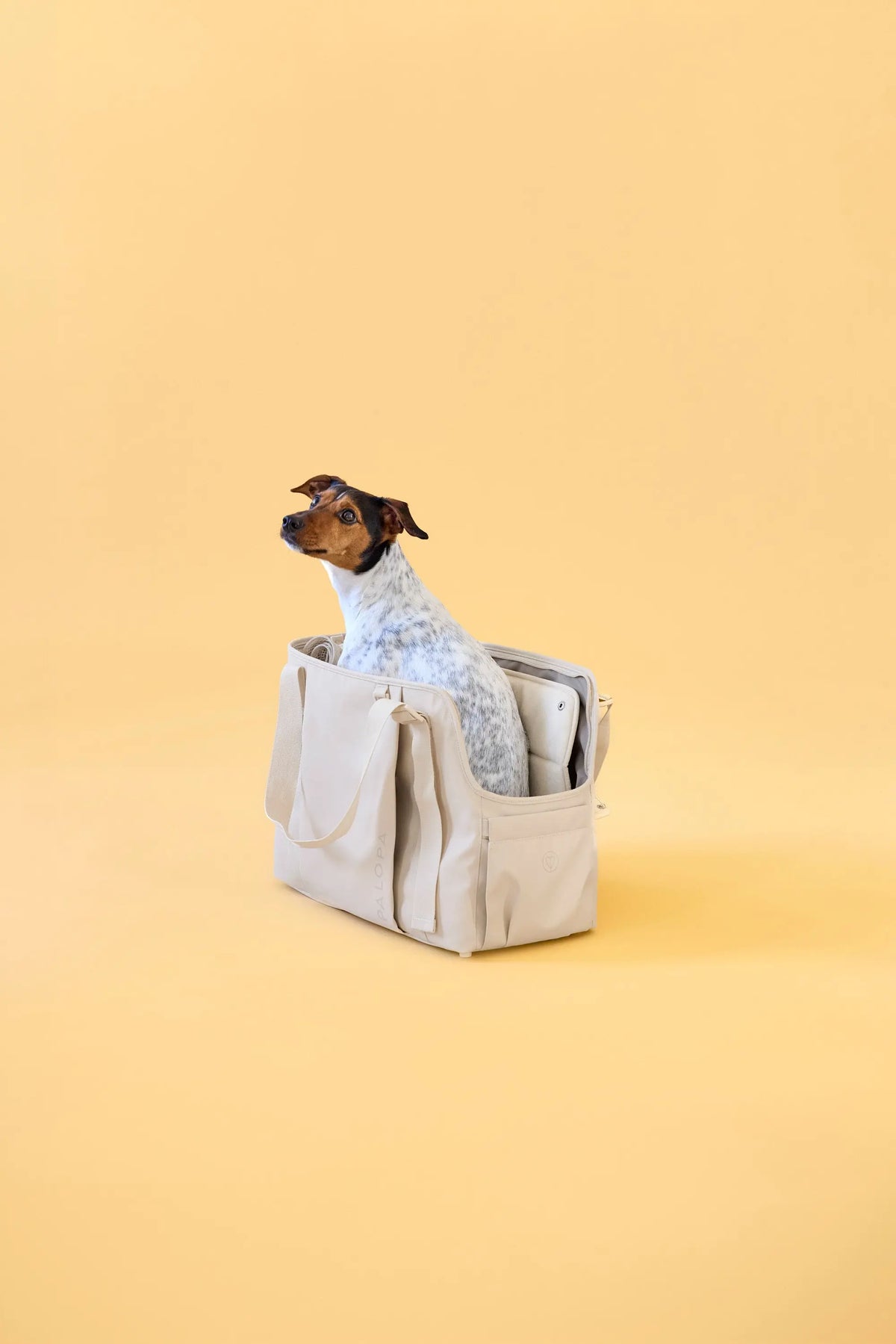 Hundetasche - Weda, Creme