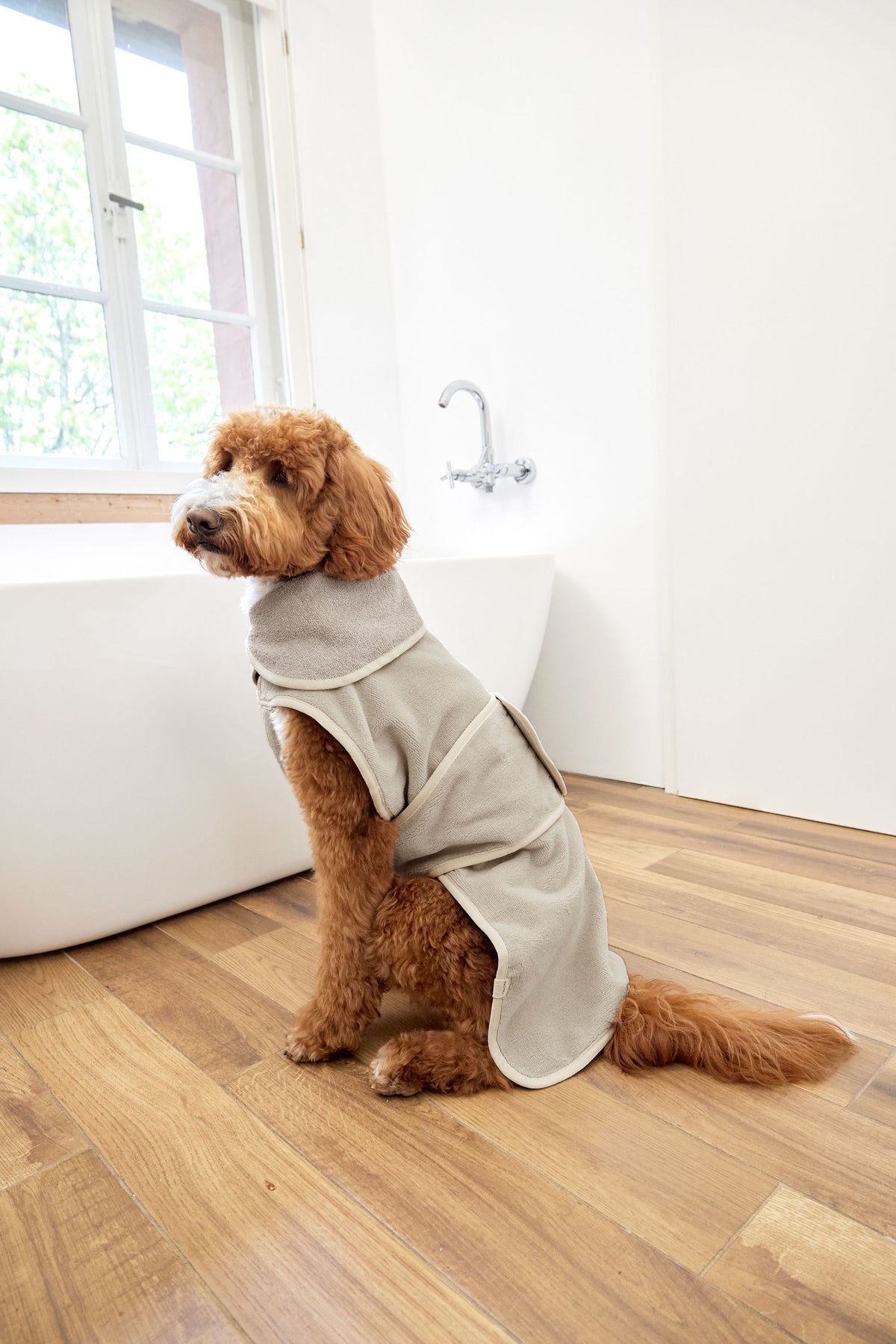 Hundebademantel - Robi, Beige