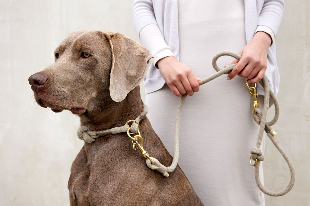 Braided dog collar - Mila, natural