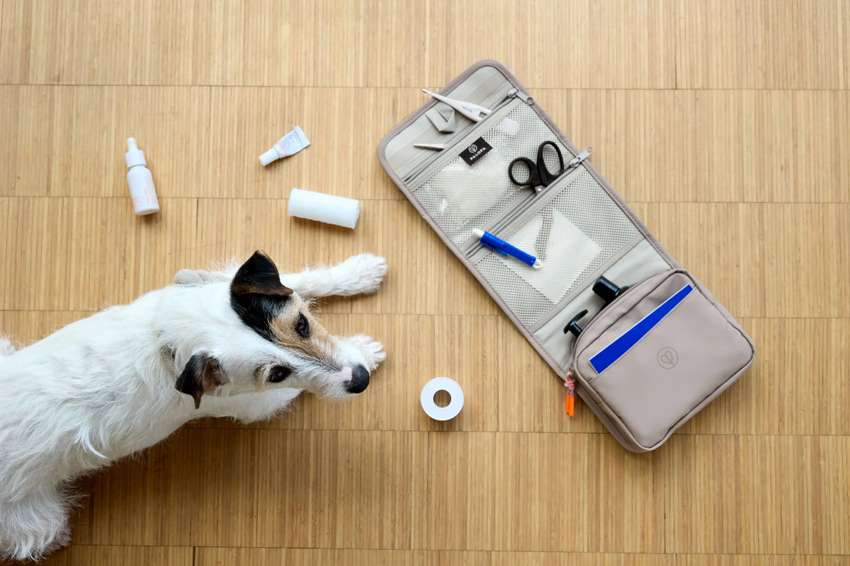 Hunde Erste-Hilfe-Set - Bano, Taupe PALOPA