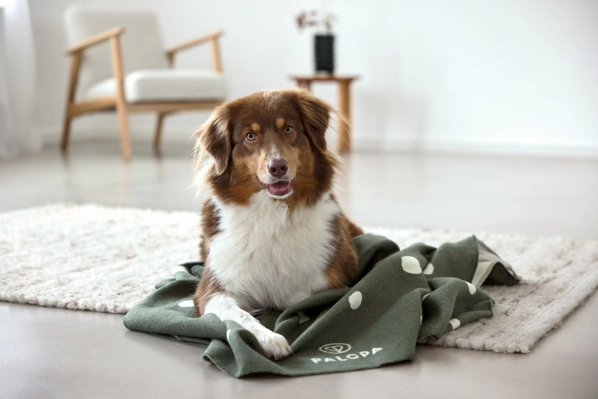Hundedecke L - Ida, Punkte Dunkelgrün PALOPA