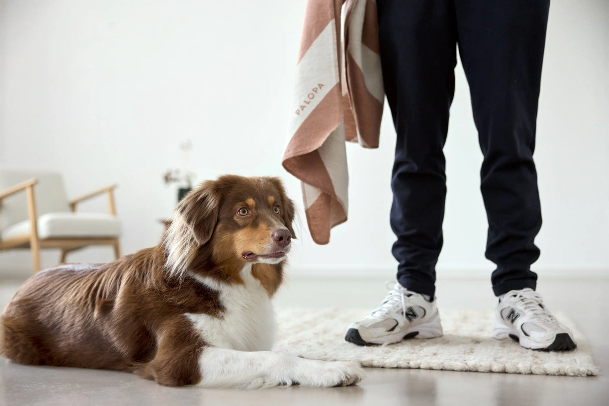 Hundedecke M - Ida, Streifen Ahorn PALOPA