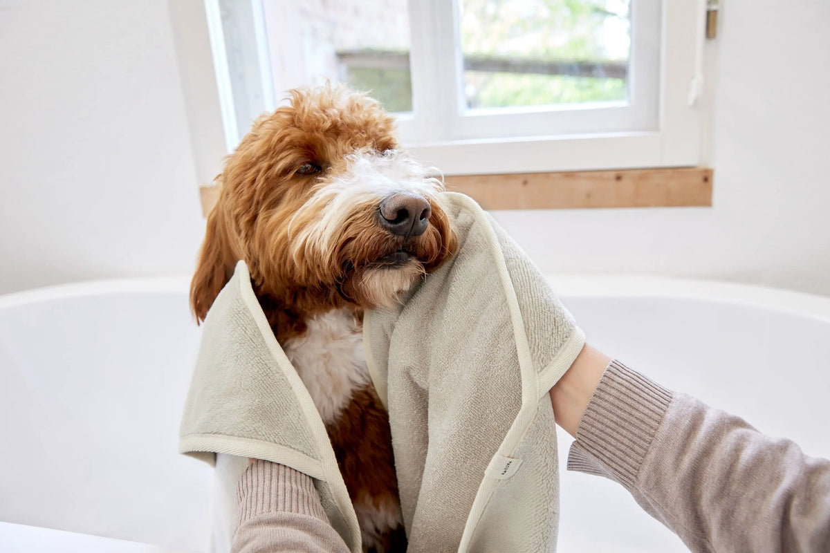 Hundehandtuch - Kosy, Beige PALOPA