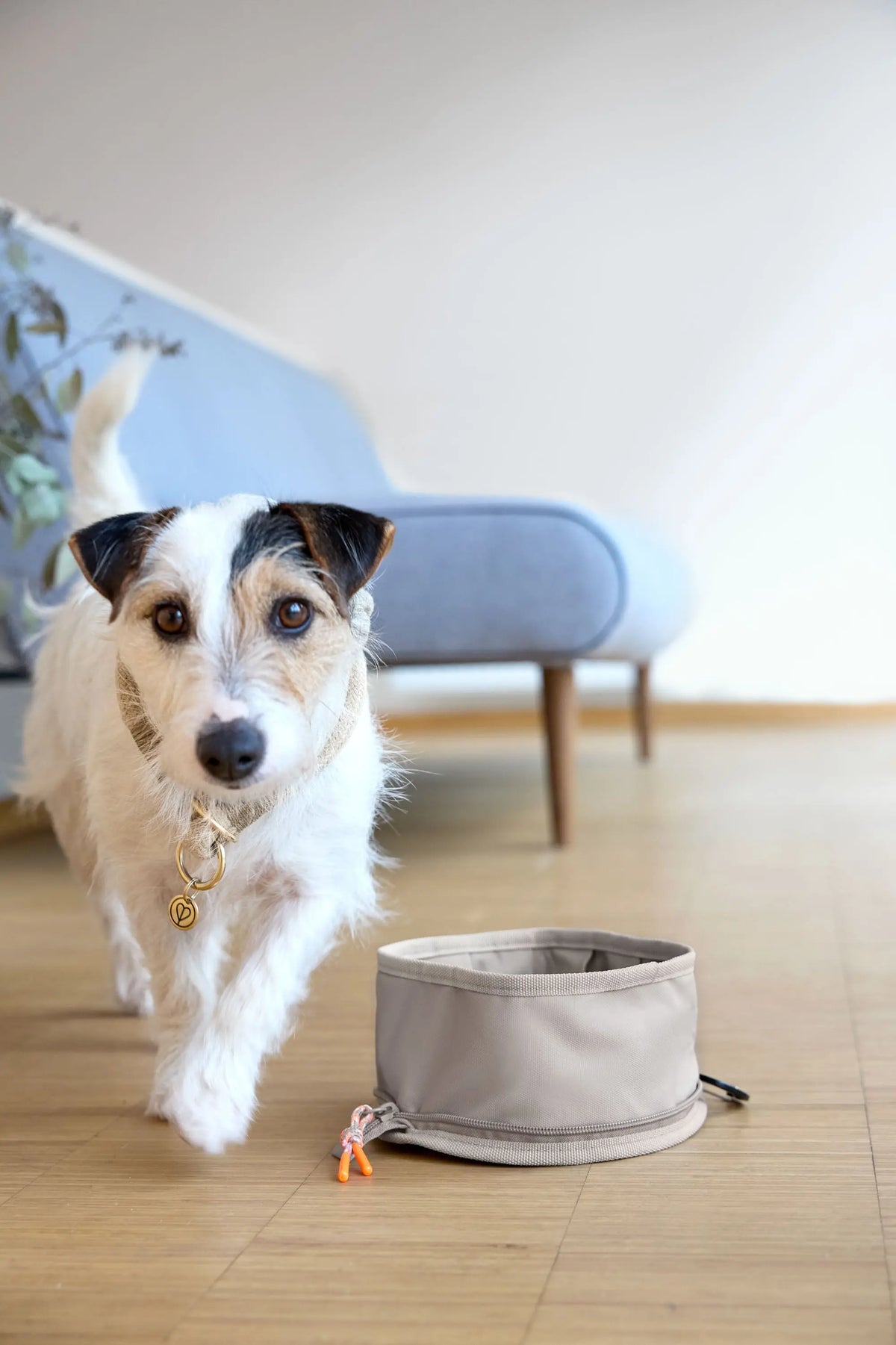 Travel Dog Bowl - Tura, Taupe Lässig