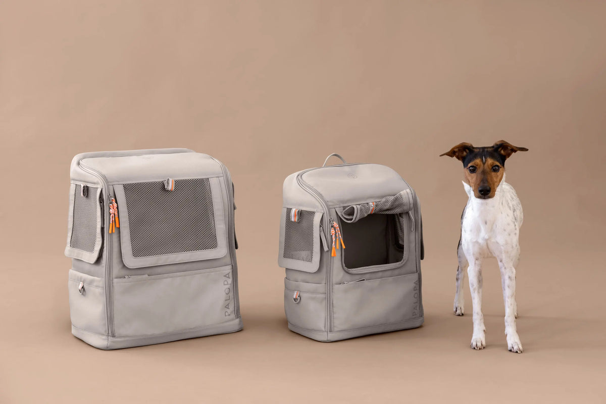 Hundetragerucksack - Kari, Taupe PALOPA