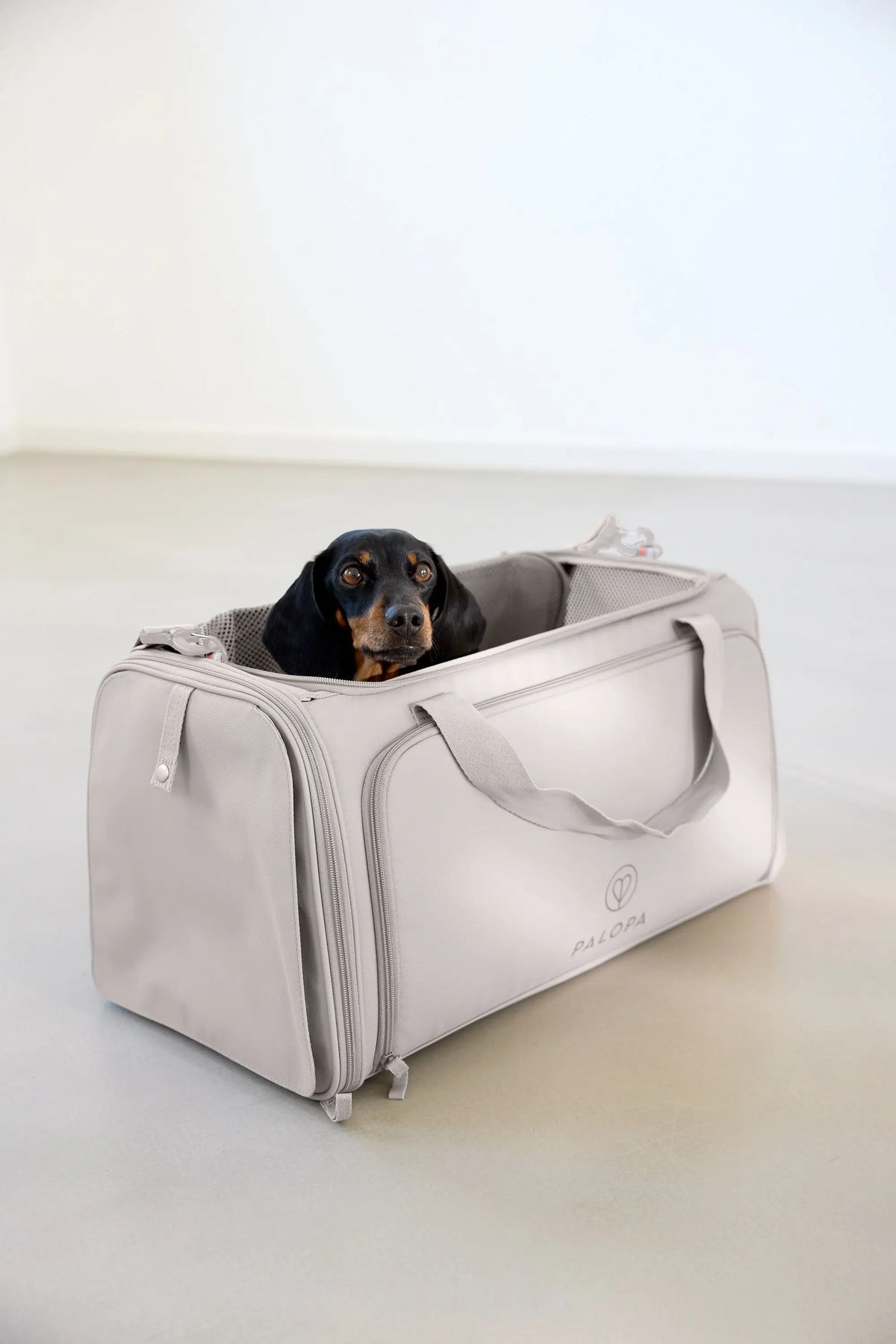 Dog Carrier Bag - Benno, Taupe PALOPA