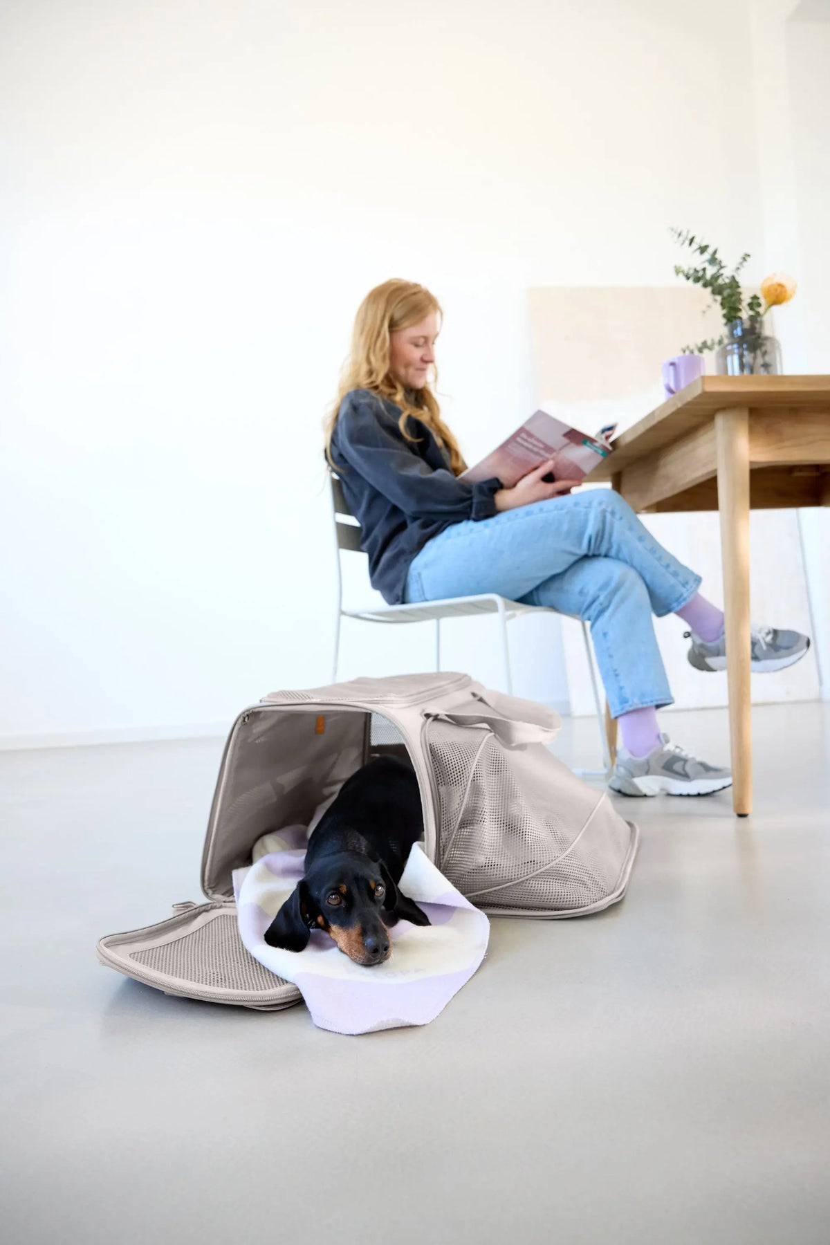 Dog Carrier Bag - Benno, Taupe PALOPA