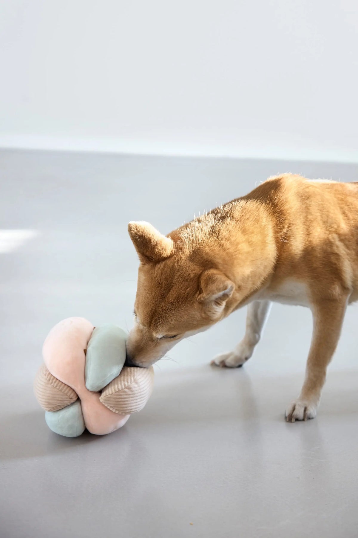 Hundespielzeug - Brino, Rosa